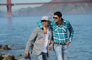 Movie Pani Thuli 9176