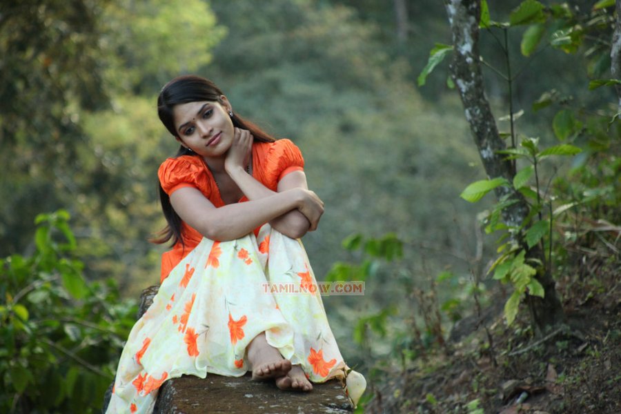 Pani Vizhum Malar Vanam Stills 8374