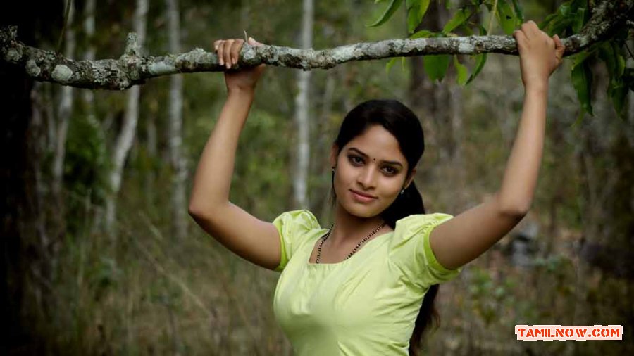 Panivizhum Malarvanam 5050