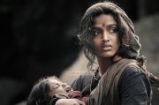 Paradesi 2771