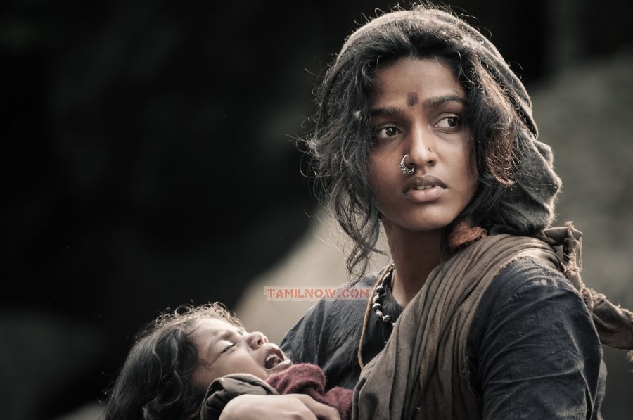 Paradesi 2771