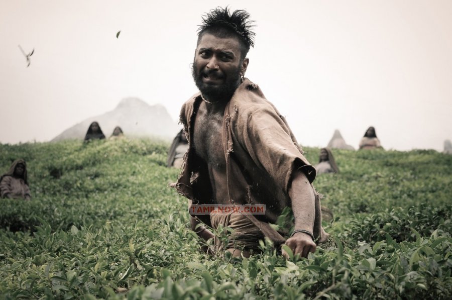Paradesi 2857