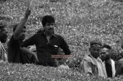 Paradesi Photos 8111