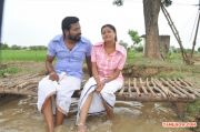 Paranjsothy 7711
