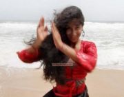 Paravai 3298