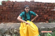 Tamil Film Perumal Koyil Undasoru Recent Wallpapers 2060