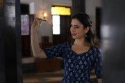 Tamannah Petromax Still 417