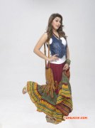 Hansika Motwani In Pokkiri Raja Gallery 130