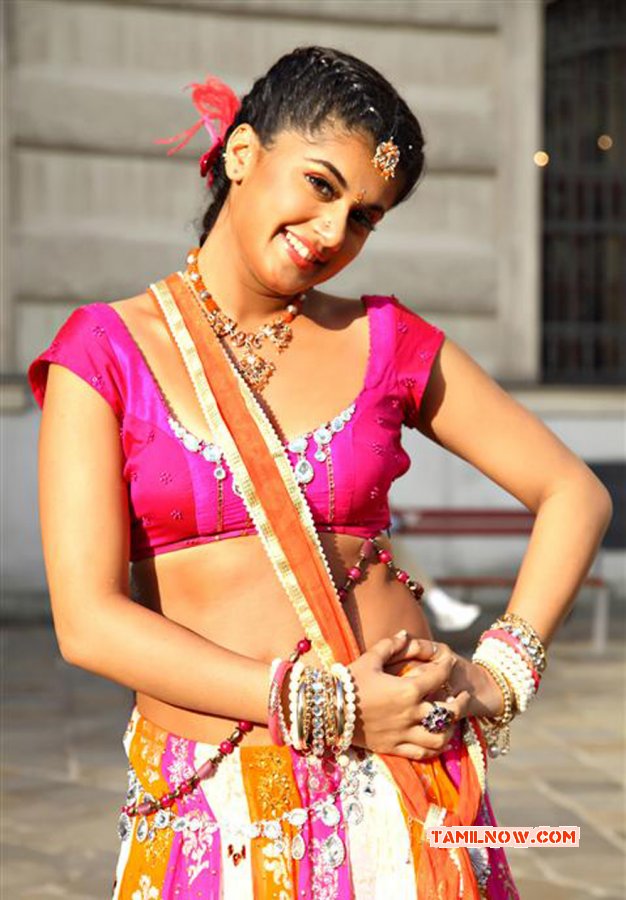 Tapsee Pannu In Political Rowdy Movie Image 6270 183
