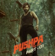 Pictures Cinema Pushpa The Rise 7790