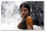 Aishwarya Rai In Raavanan Photos 3