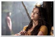 Aishwarya Rai In Raavanan Photos 5