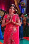 Actress Shriya Saran In Raja Pokkiri Raja 45