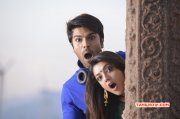 Cinema Kajal Agarwal And Ramcharan In Ramleela 751