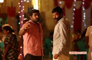 Movie New Pic Vijay Sethupathy Rekka Still 116