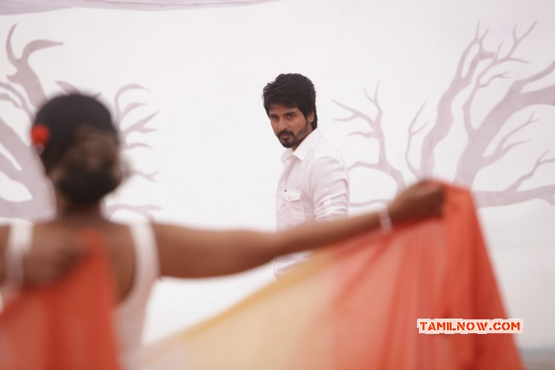 Siva Karthikeyan Remo Film Still 908