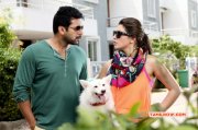 Jayam Ravi Hansika Motwani In Romeo Juliet New Still 820