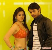 Actor Nitin And Actress Hansika Motwani 581