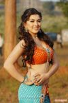 Hansika Motwani Hot Photo 48