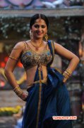 Anushka In Rudhramadevi Cinema Image 750