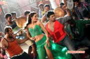 New Photo Nargis Fakhri And Prashnath In Saahasam 366