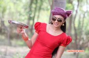 Latest Pic Neha Hing Sagaptham Actress 641