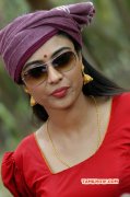 Neha Hing Sagaptham Actress Movie Photo 974