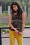 Actress Pranitha 972