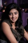 Actress Pranitha In Saguni 362