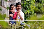 Karthi Pranitha In Saguni Movie 8