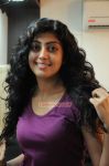 Tamil Actress Pranitha 467