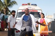 Pictures Tamil Cinema Saiva Komali 7530