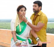 Sakalakala Vallavan Appatakkar Movie New Still 9381