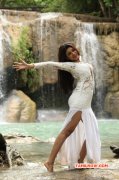 Cinema Pic Oviya Helen In Sandamarutham 886