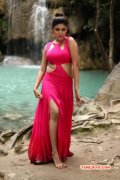 Movie Gallery Oviya In Sandamarutham 188