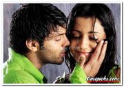 Arya Trisha Still 3