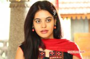 Latest Photo Bindu Madhavi 906