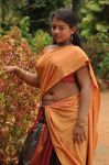 Tamil Movie Selathu Ponnu 7431