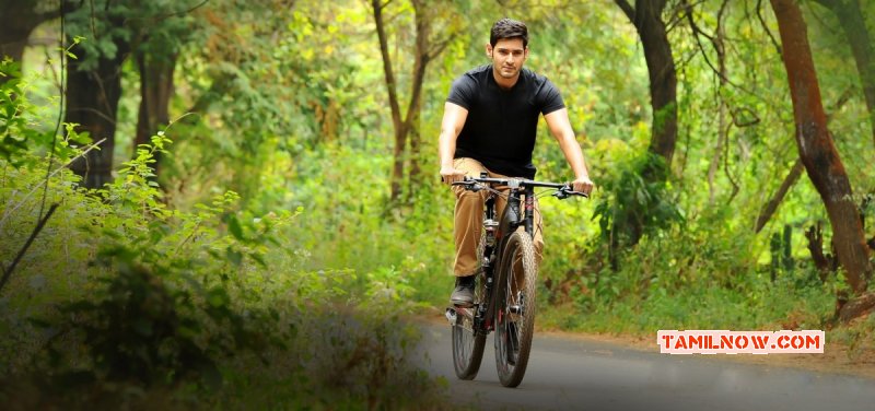 Mahesh Babu In Selvandhan Movie Photo 546