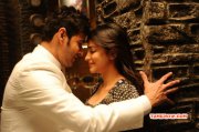 Movie Still Mahesh Babu Shruthi Haasan Selvandhan New 549