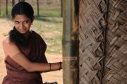 Tamil Movie Sembattai Stills 7269