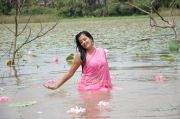 Roopa Kaur Hot Pic In Sengadu 10 794