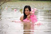 Roopa Kaur Hot Pic In Sengadu 20 76