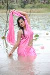 Roopa Kaur Hot Pic In Sengadu 6 254