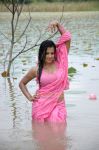 Roopa Kaur Hot Pic In Sengadu 7 915