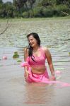 Roopa Kaur Hot Pic In Sengadu 8 675