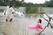 Sengadu Movie Hot Stills 15 223