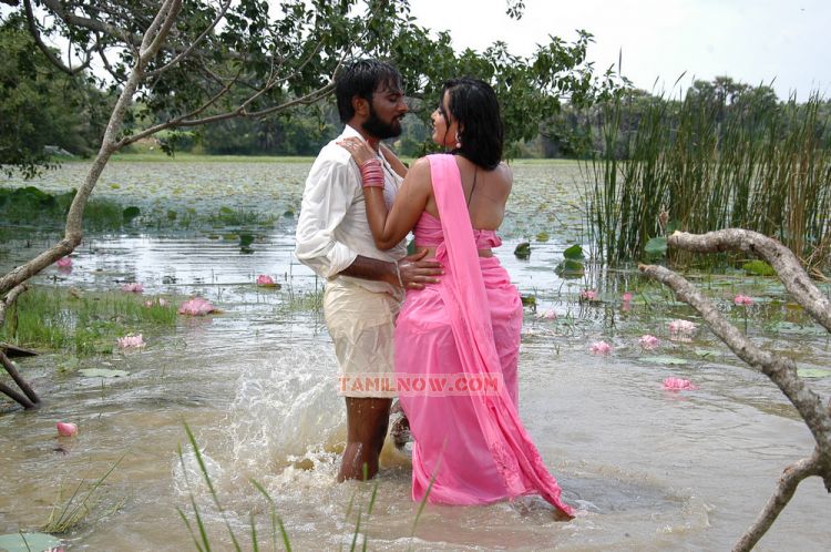 Sengadu Movie Hot Stills 20 223