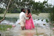 Sengadu Movie Hot Stills 29 59