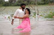 Sengadu Movie Hot Stills 49 577